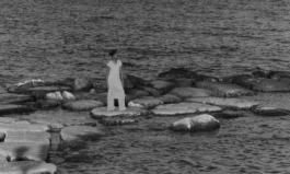 SIGRID WILKING