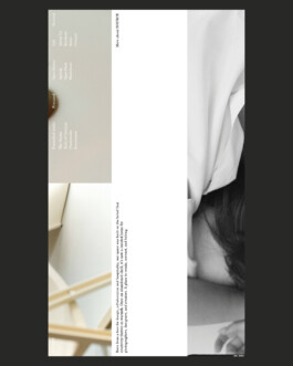 SIGRID CATHARINA MARIA WILKING